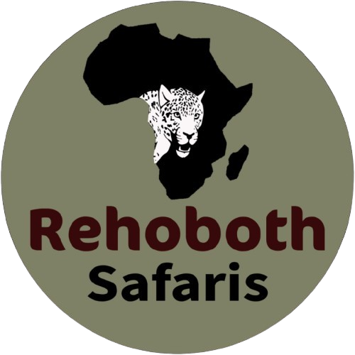 Rehoboth Safaris